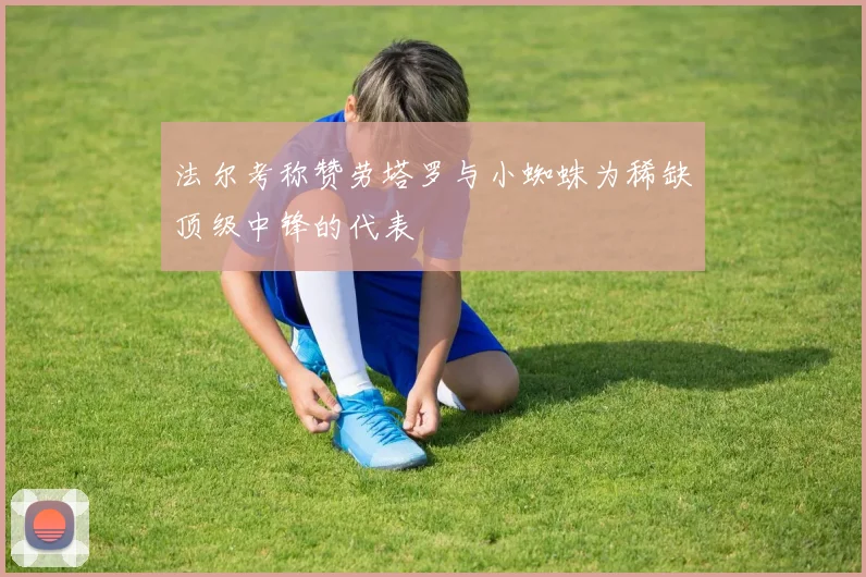 法尔考称赞劳塔罗与小蜘蛛为稀缺顶级中锋的代表